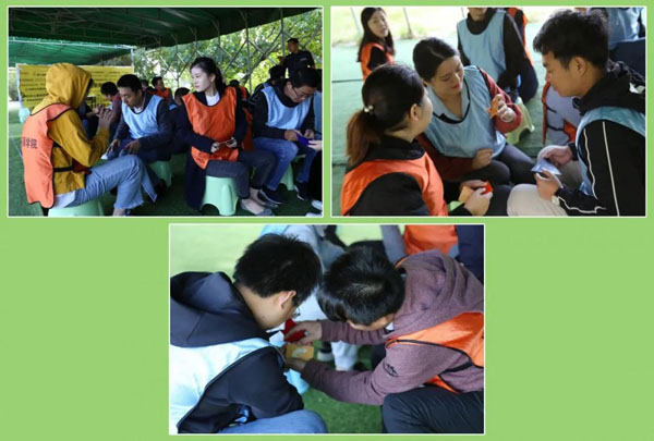 赢咖娱乐新能源_厚积薄发_赢胜2021(图16)